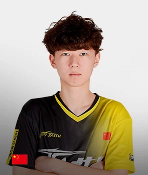Y.Z.CHEN
